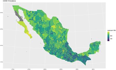 Exploring disparities and novel insights into metabolic and cardiovascular comorbidities among COVID-19 patients in Mexico